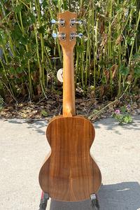 Ukulele concert professionnel en koa pili koko, prix d'usine Aiersi, vente en gros, tout en bois massif, instruments de musique - Product Image 3