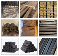 Four moderne de fabrication de briquettes de charbon de bois, four à charbon multi-biomasse, machine de carbonisation pour la production de charbon de bois