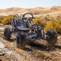 Go Kart Todoterreno Ecológico de Gasolina en Oferta, para Carreras Todoterreno, Drifting, Aventuras y Viajes