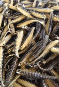 Silicone de haute qualité <span class=keywords><strong>tanta</strong></span> poisson t queue <span class=keywords><strong>leurre</strong></span> souple 65mm 75mm 105mm réaliste tantas de silicona sandre <span class=keywords><strong>leurre</strong></span> attirail - Product Image 6