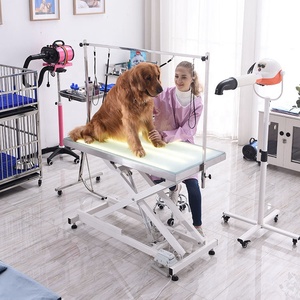 <span class=keywords><strong>Table</strong></span> de toilettage pour animaux de compagnie avec éclairage LED réglable, hydraulique, rotative, électrique, pour chiens - Product Image 2