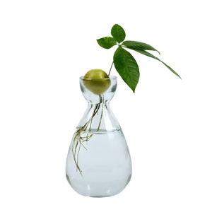 <span class=keywords><strong>Vase</strong></span> en verre pour plantes d'<span class=keywords><strong>avocat</strong></span>, <span class=keywords><strong>vase</strong></span> de démarrage pour plantes d'<span class=keywords><strong>avocat</strong></span>, <span class=keywords><strong>vase</strong></span> en verre pour la culture d'avocatiers - Product Image 6