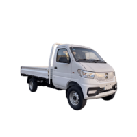 Vente directe d'usine vente chaude 120km conduite à gauche Rhd démarrage électrique Mini Cargo Heavy Duty Dumper Vans et camion