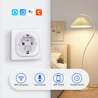 Bilihondim EU Mini WiFi Plug Dimmer 200W 1 Canal Compatible Tuya Assistant Contrôle Sans Fil Installation Facile Garantie 1 An