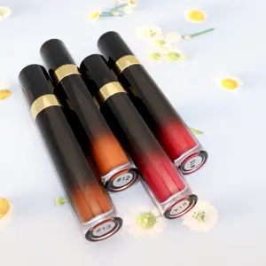 Rouge à lèvres marron longue durée, produit de beauté, cosmétique, liquide mat, offre spéciale,