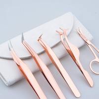 Kit de pinces à épiler d'extension de cils en acier inoxydable 5 pièces avec bout pointu comprend un applicateur de faux cils et des ciseaux à sourcils