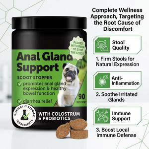 Chiens Glande Anale Soutien <span class=keywords><strong>Probiotiques</strong></span> & Digestion Beurre d'Arachide Aromatisé Fibre de Citrouille Soft Chew Boot the Scoot Supplément pour Chiens - Product Image 4