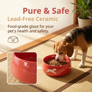Tazón de Cerámica Rojo para Mascotas Serie Hello, 1100 ml, Plato Profundo Antiderrames para Agua y Comida para Perros y Gatos - Product Image 4