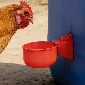 Bebederos automáticos para aves de corral como pollos, patos, gansos, palomas y codornices. - Product Image 4