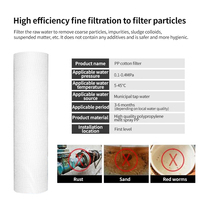 Boîtier de filtre à eau en acier inoxydable 20 "X 4.5" Ss 304 et 316 Système de boîtier de filtre à eau Jumbo 5 10 20 pouces