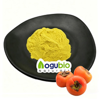 Groothandel Hoge Kwaliteit Persimmon Poeder Natuurlijke Voedingskwaliteit Bulk Zuiver Persimmon Fruitpoeder