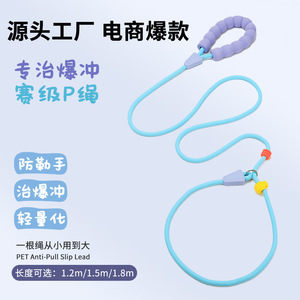 Laisse pour chien, laisse d'entraînement de qualité professionnelle, mousse en forme de nuage, couleurs contrastées stimulant la dopamine, vente en gros de laisses pour chiots. - Product Image 5