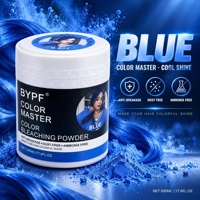 Poudre décolorante pour cheveux BYPF Color Master 500g sans ammoniaque, sans poussière, anti-casse, poudre décolorante pour salon, vente en gros OEM