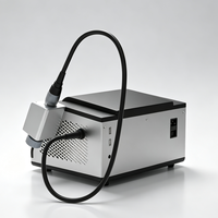 Yüksek Güçlü 810nm 980nm Lazer Terapi Cihazı Sınıf 4 Fizyoterapi İçin Lazer Terapisi 10W 20W 30W Hayvan İyileşmesi İçin
