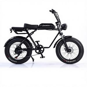 Tricycle électrique à une vitesse 500W/600W 48V, cadre en acier à haute teneur en carbone robuste pour adultes - Product Image 1