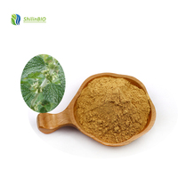 Pabrik SLBIO Menyediakan Bubuk Ekstrak Marrubium Vulgare White Horehound Berkualitas Tinggi 10:1