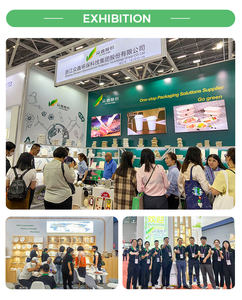 Grosir ramah lingkungan Sugarcane mangkuk hewan peliharaan Bagasse pemisah makanan anjing dapat terurai mangkuk hewan peliharaan sekali pakai - Product Image 6