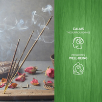 Vente en gros d'encens en bois naturel personnalisé Collection d'aromathérapie pour la maison Bâtonnets d'encens chinois naturels et biologiques