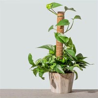 Poteau de mousse personnalisé de différentes tailles de mât de mousse utilisé pour le support des plantes mât totémique en coquille de noix de coco