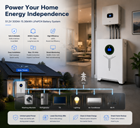 Batterie LiFePO4 51,2 V 300 Ah 15,36 kWh pour système de stockage d'énergie solaire résidentiel (ESS) avec BMS intelligent IP54, stock UE