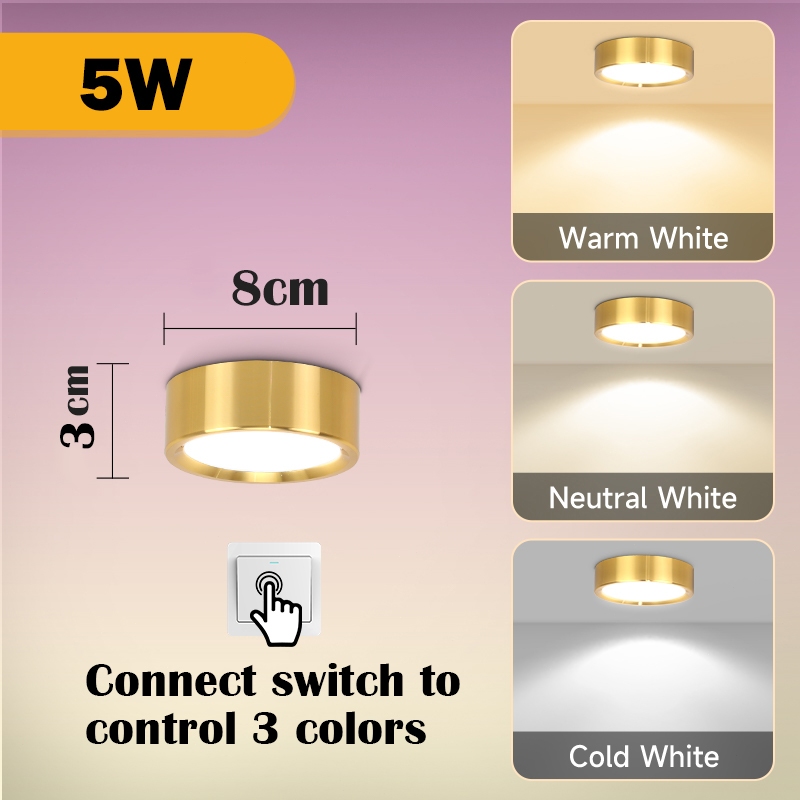 golden-5W-TypeB