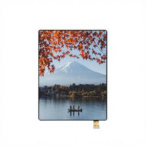 Módulo LCD con Panel OLED Flexible MIPI de 8 Pulgadas Microtech, Diseño Plegable Verde, 2480x1860, 60Hz, Pantalla Táctil Capacitiva para Uso Médico - Product Image 1