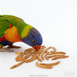 Vers de farine séchés en gros, vers de farine jaunes séchés, nourriture pour oiseaux de compagnie, nourriture pour poissons et tortues d'ornement - Product Image 1