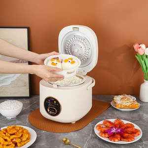 Mini <span class=keywords><strong>cuiseur</strong></span> à riz 2 tasses non cuites 1,2 L Portable antiadhésif petit voyage <span class=keywords><strong>sans</strong></span> <span class=keywords><strong>BPA</strong></span> un bouton pour cuire et garder au chaud fonction - Product Image 5