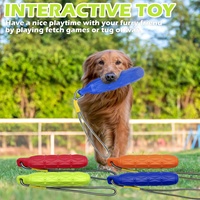Bâton flottant durable pour l'extérieur Bâton à mâcher pour animaux de compagnie Plage Eau EVA Mousse Pare-chocs Chien Interactive Bâton de meulage pour la formation Jouet à la traction à la corde