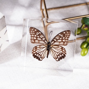 Regali personalizzati creativi incorporati in acrilico Lucite bottiglia di montatura fermacarte articoli Souvenir decorazione per la casa per bambini Educa - Product Image 3