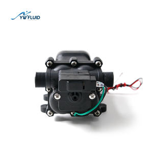 YW G01 12/21/24 V Kupferdraht motor Vakuum Selbst ansaugende Membran pumpe für die landwirtschaft liche Bewässerung - Product Image 4