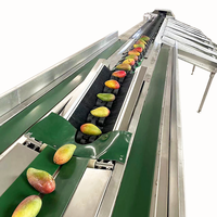 Oranje Macadamia Kiwi Kersen Fruit Groente PLC Gecontroleerde Fruitverwerkingsinstallatie Sorteermachine