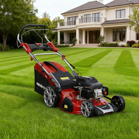 Tondeuse à gazon manuelle à essence 22 pouces, 196cc, 6,5 CV, de qualité supérieure, puissante, pour jardin - Fournisseur de premier plan