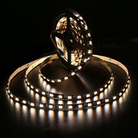 WS2805 RGBCCT 2600-6500K Breakpoint Continu Smart LED Light Strip DC12/24V pour la maison KTV Bar Commercial Lighting