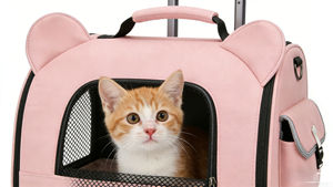 <span class=keywords><strong>Sac</strong></span> <span class=keywords><strong>à</strong></span> <span class=keywords><strong>dos</strong></span> de transport <span class=keywords><strong>pour</strong></span> animaux de compagnie <span class=keywords><strong>en</strong></span> gros avec roulettes amovibles, poignée réglable, fermeture éclair, imperméable, approuvé par les compagnies aériennes, personnalisable - Product Image 2