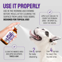 Spray buccal pour chiens et chats, soin dentaire, éliminateur de plaque dentaire, hygiène buccale, nettoyage sans irritation, produits d'hygiène buccale