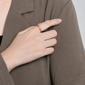 Anillo de Acero de Titanio Trenzado de Doble Hilera, Diseño Geométrico, Joyería de Moda Unisex, Regalo, Color Oro y Plata, K R1072 - Product Image 2