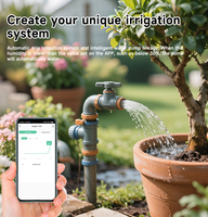 SMATRUL Smart Tuya capteur d'humidité du sol Zigbee rappel d'humidité plante en pot niveau d'eau testeur de sol capteur de surveillance de pelouse