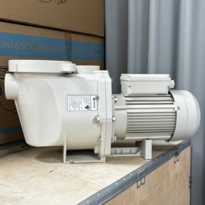 2026 Pentair Style Single Speed Pool Pump 110V220V380V High Pressure Swimming Pool Water Filter Pump S.S316 - Product Image 2