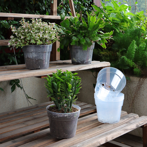 โมเดิร์นเสริมใสเนอสเซอรี่หม้อ 4/6/8/10 นิ้วต้นกล้าโปร่งใส Macetas พลาสติกแกลลอน Grow กระบองเพชรฉ่ํา - Product Image 6