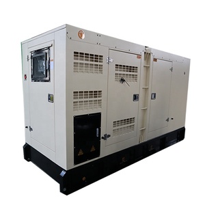Generatore Skid-Mounted da 100kW 125KVA per il Controllo Climatico di Grandi Serre - Product Image 3