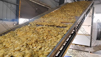 Machine de déshydratation pour nouilles de riz, équipement de séchage pour vermicelles