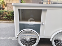 Chariot de vente ambulant multifonctionnel pour glaces et gelatos, chariot commercial pour snacks d'extérieur avec congélateur de présentation
