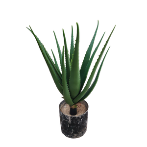 Suculentas artificiales Estilo nórdico ins interior sala <span class=keywords><strong>de</strong></span> estar tienda ventana decoración simulación aloe <span class=keywords><strong>vera</strong></span> en maceta - Product Image 4