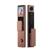 Serrure Intelligente Tuya en Gros pour Porte en Bois, Connectée WiFi, avec Biométrie par Empreinte Digitale et Caméra Intégrée