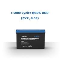 Stock UE Epever Lifepo4 12v 100ah 200ah Boîtier de batterie 12.8V 25.6V Batterie lithium-ion rechargeable Pack de stockage d'énergie solaire