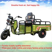 Usine 3 Roue Cargo Tricycle Vélo Électrique Chinois 3 Roues Tricycle Électrique Ebike Adulte Pour Passagers