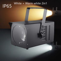 Étanche IP65 300W Cob Led Surface Light Wash Zoom Blanc Chaud Blanc 2in1 Led Spotlight pour une utilisation en extérieur