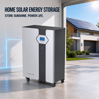Batería Solar Doméstica SY Mobile de 16 kWh, 51.2V 314Ah LiFePO4, Monitoreo por WiFi, Kit de Instalación Incluido, Venta al Por Mayor OEM