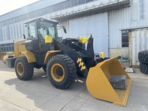 Pembukaan toko baru: dapatkan Penawaran terbaik untuk pompa roda <span class=keywords><strong>10</strong></span> Ton 92kW LW300FN di Pakistan - Product Image 3